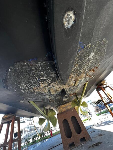 Damage Surveys